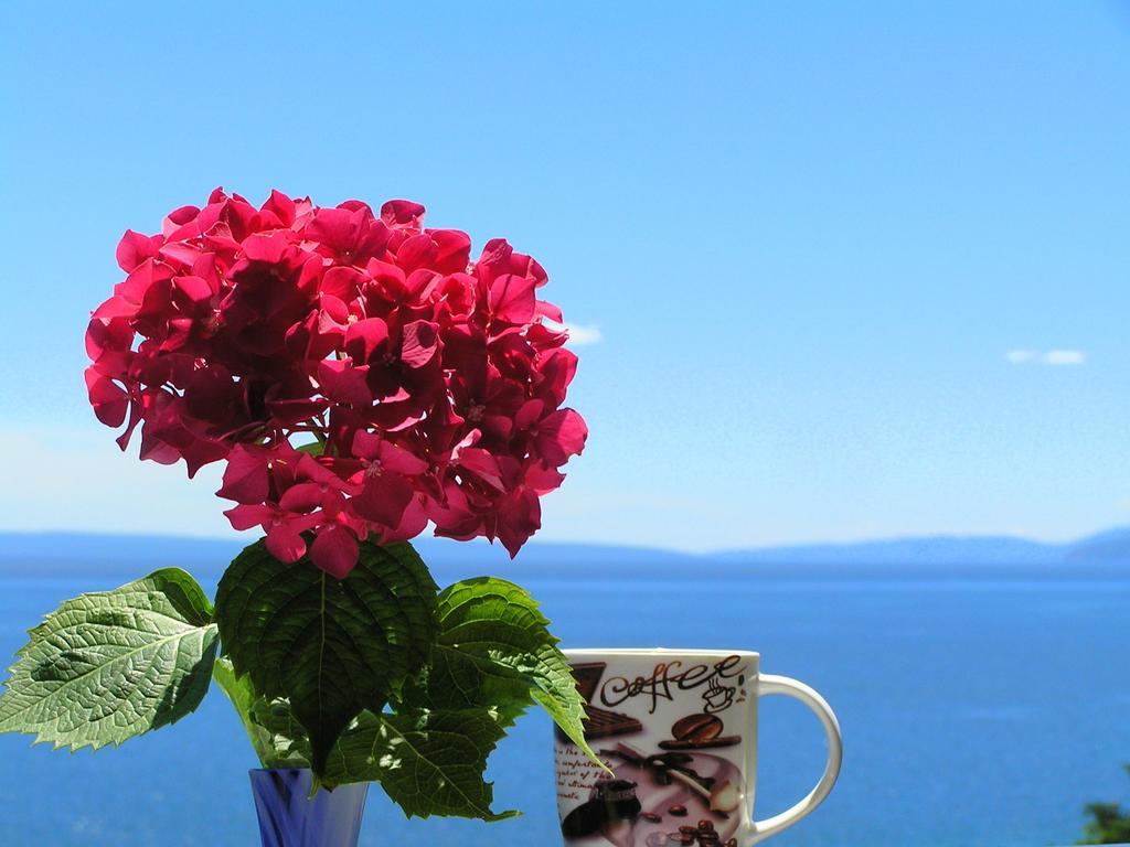 Guest House Lifestyle Holiday Opatija Chambre photo